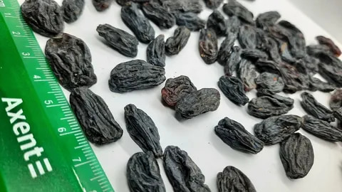 تصویر 4 از مویز سیاه مرغوب مناسب نگهداری طولانی مدت